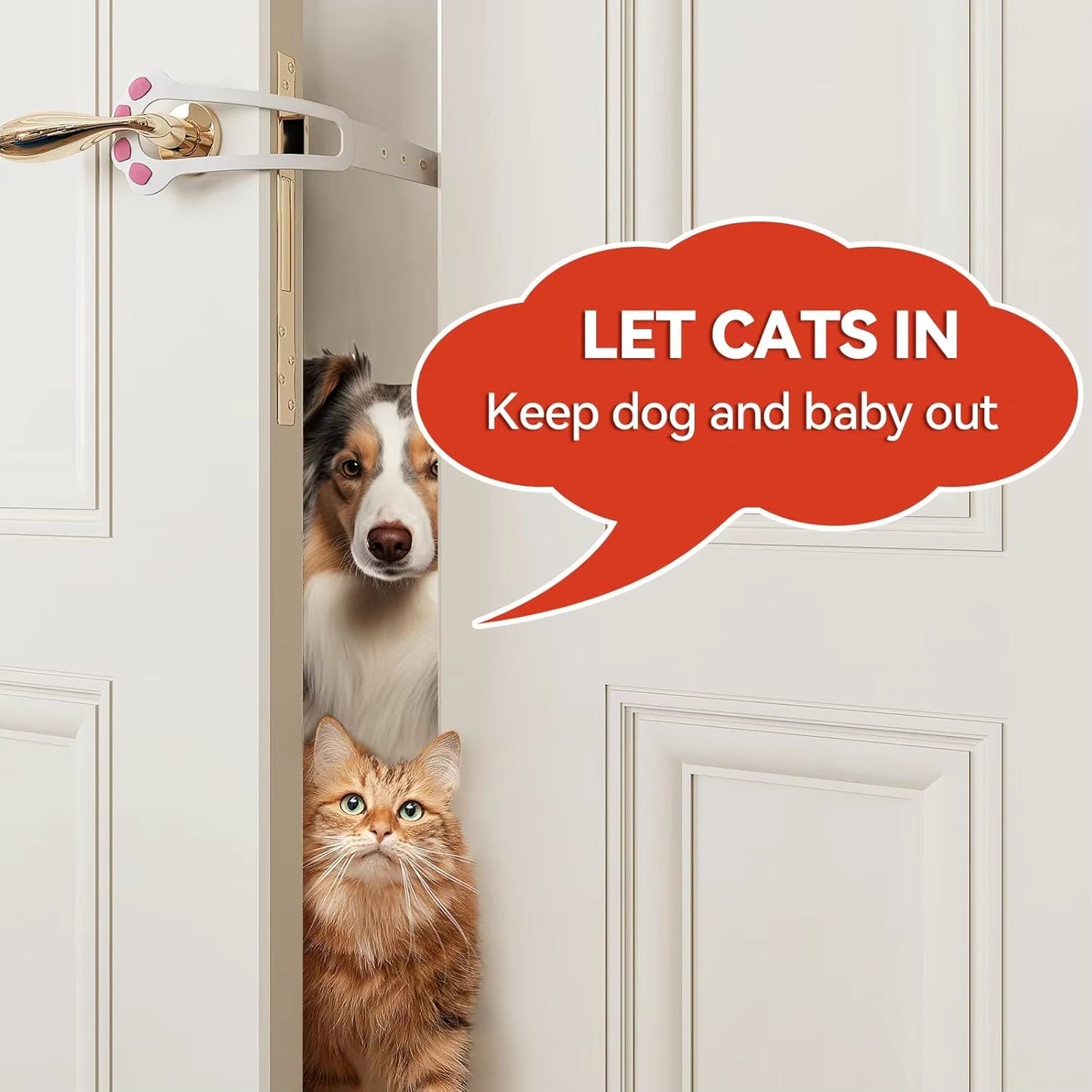 PawPass Pet Latch