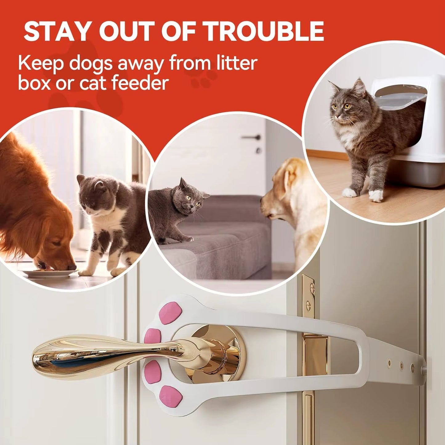 PawPass Pet Latch